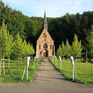 Quelle: Triplec85 (https://commons.wikimedia.org/wiki/File:Liebfrauenbrunnkapelle_Werbach_02.jpg), „Liebfrauenbrunnkapelle Werbach 02“, https://creativecommons.org/publicdomain/zero/1.0/legalcode
